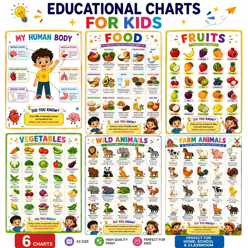 Educational Charts for Kids – Set of 6 A3 (Human Body, Fruits, Vegetables, Food, Animals)